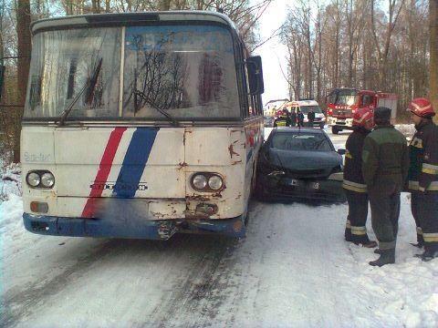 fot. Internauta - fot. 