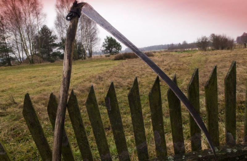 Kontrolerzy ARiMR stwierdzili, że przedsiębiorca nie skosił w terminie łąki. Fot. Janusz Mazurek - fot. 