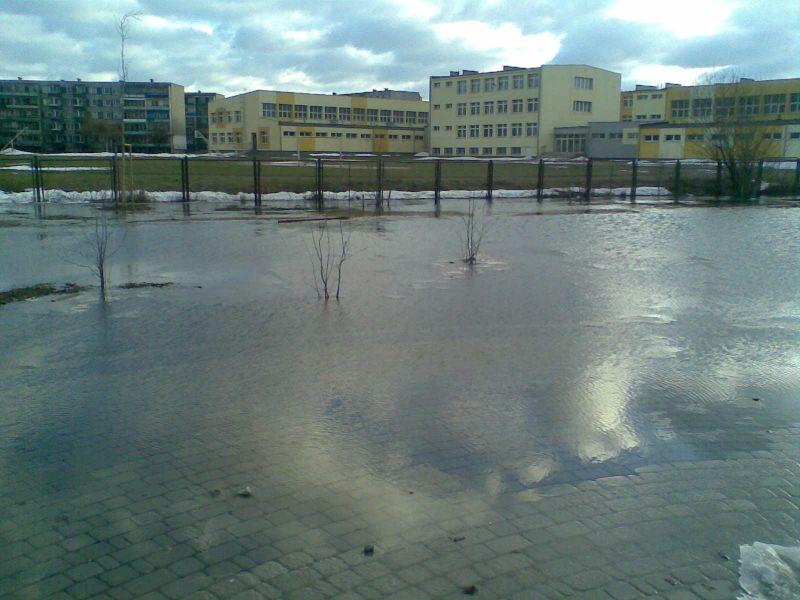 fot. Patrycja - fot. 