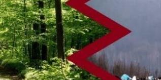  - fot. 