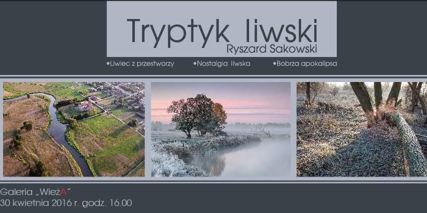 autor: Fb/Zamek w Liwie - fot. 