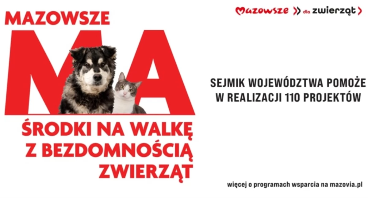 Plakat mazovia.pl