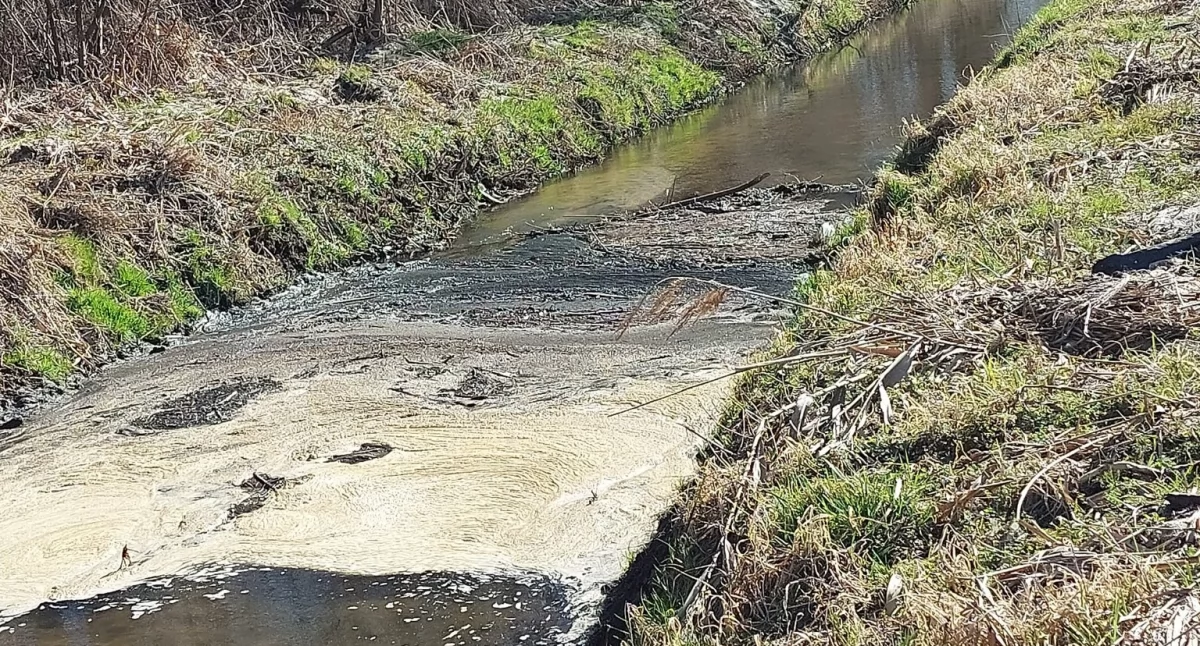 Co się dzieje z rzeczką w gminie Suchożebry? fot arch. czytelnika