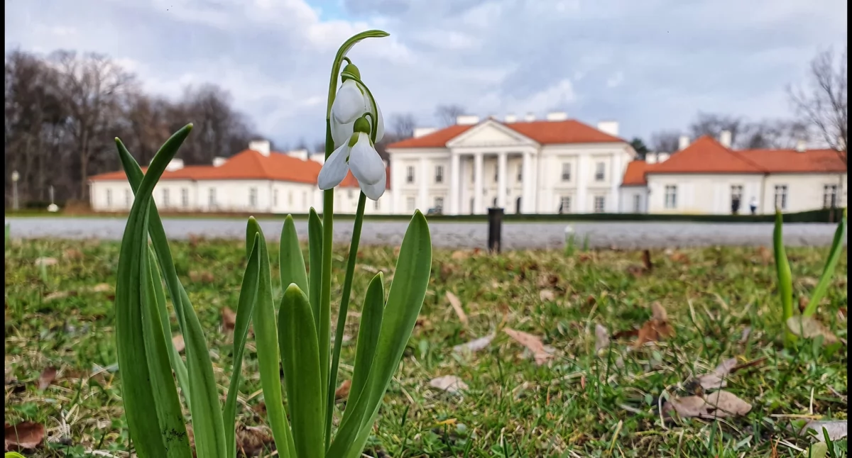 Siedlce inwestują w młodzież! Nowy projekt da głos młodemu pokoleniu i szkoli liderów przyszłości - fot. Aga Król