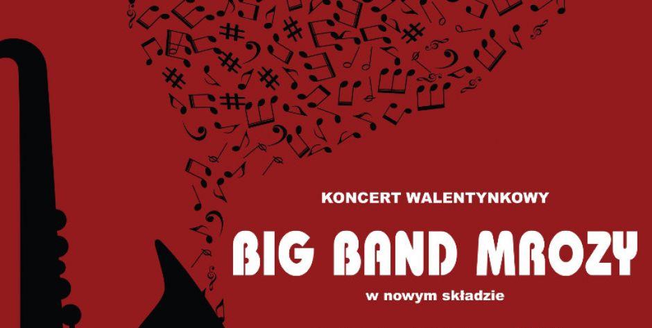 Koncert Walentynkowy - fot. GCK Mrozy