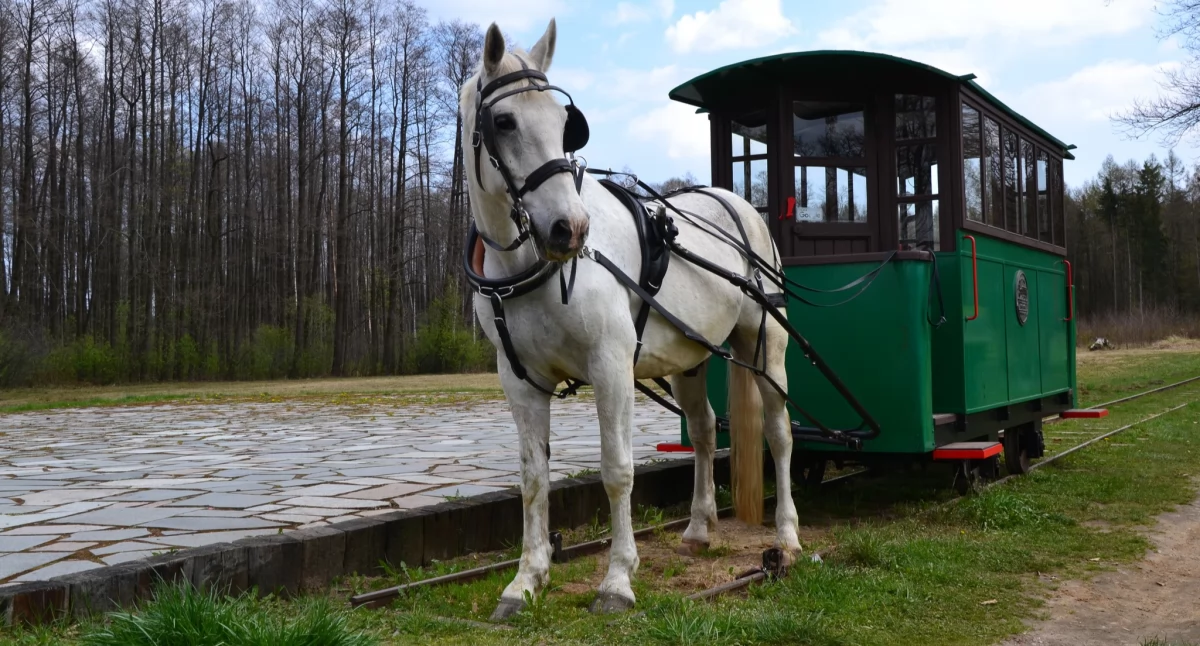 Tramwaj konny w Mrozach będzie jeździł tylko w pięć wyznaczonych niedziel! Fot. GOSiR