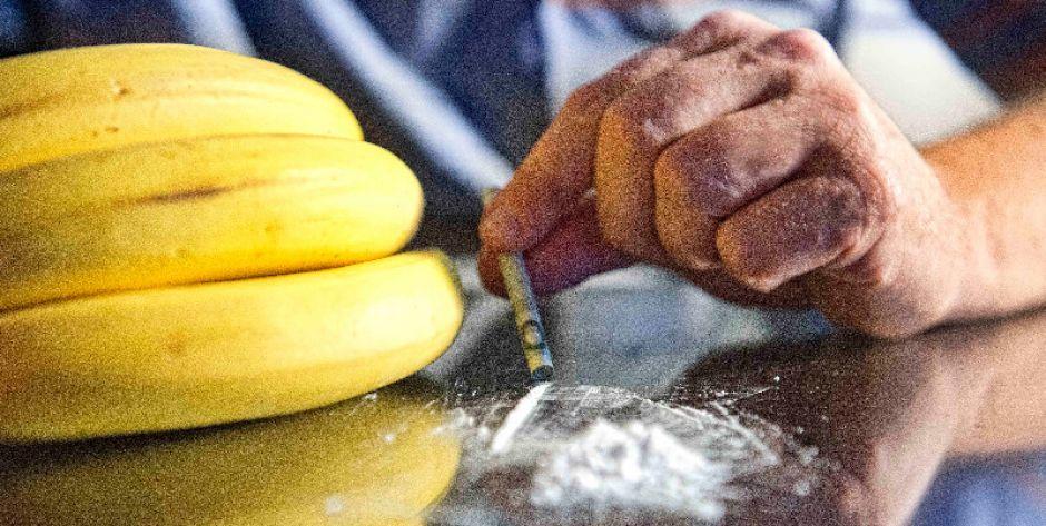 Kokaina w bananach, zdjecie poglądowe - fot. Aga Król