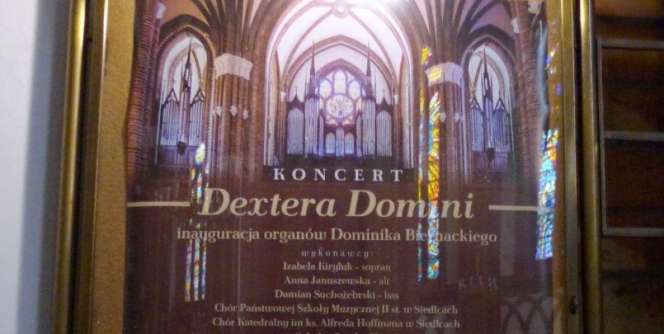 Koncert organowy 