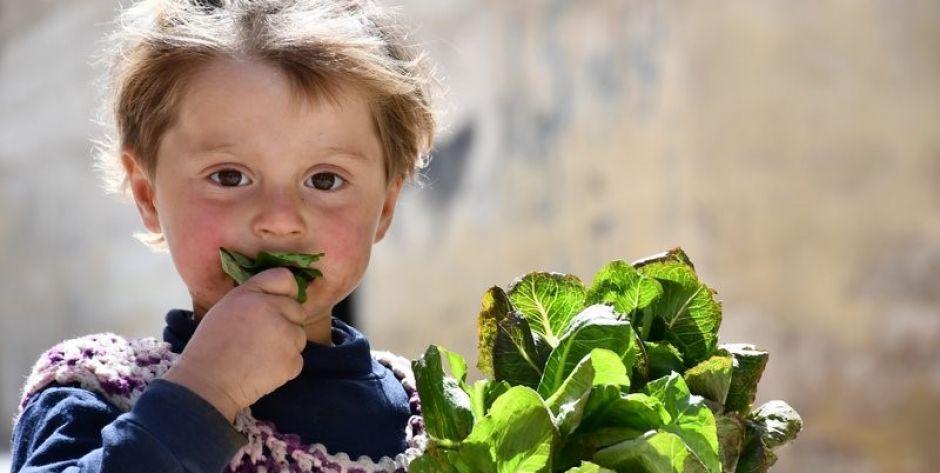 Źródło zdjęć: http://bliskiwschod.caritas.pl/galeria-aleppo/ - fot. http://bliskiwschod.caritas.pl/galeria-aleppo/