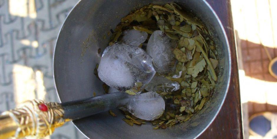 Yerba mate - fot. s