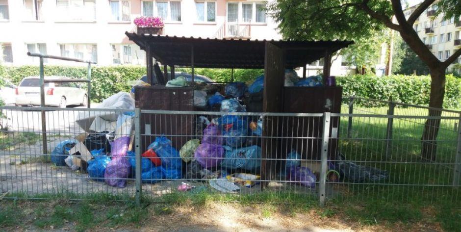 Śmietnik przy ul. Sokołowskiej w Siedlcach - fot. d
