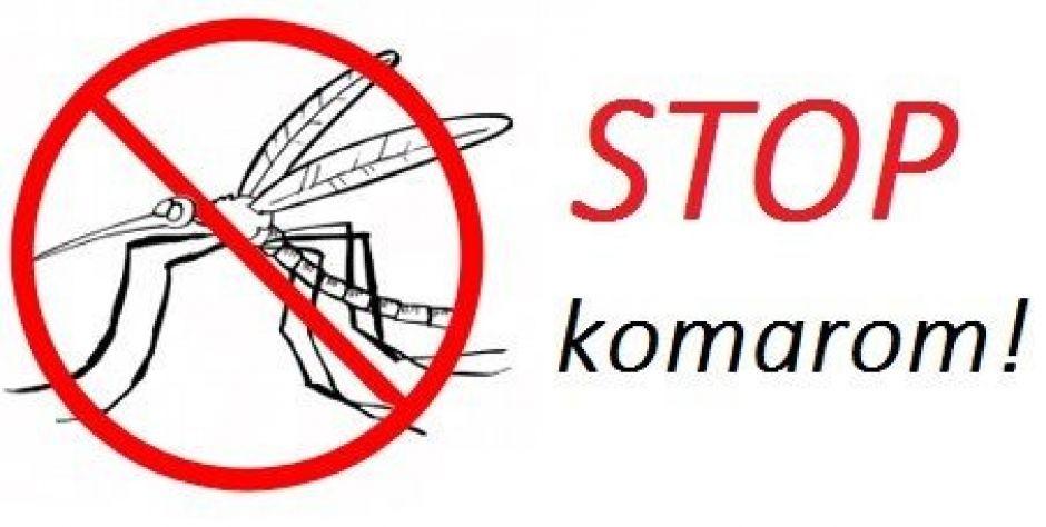 Źródło: Siedlce Miasto Przyjazne - fot. d