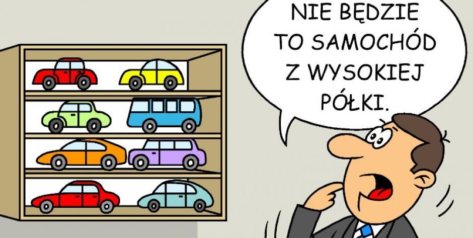 rys. M. Andrzejewski - fot. M. Andrzejewski