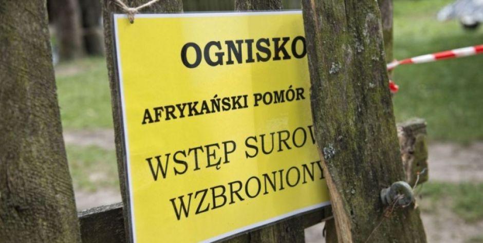 Zdjęcie symboliczne fot. Aga Król