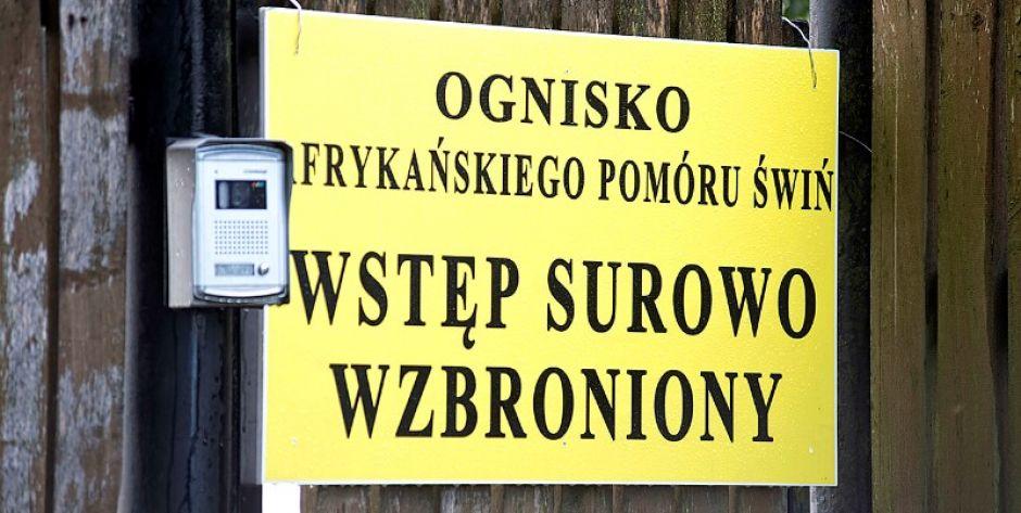 Zdjęcie poglądowe, fot. Aga Król