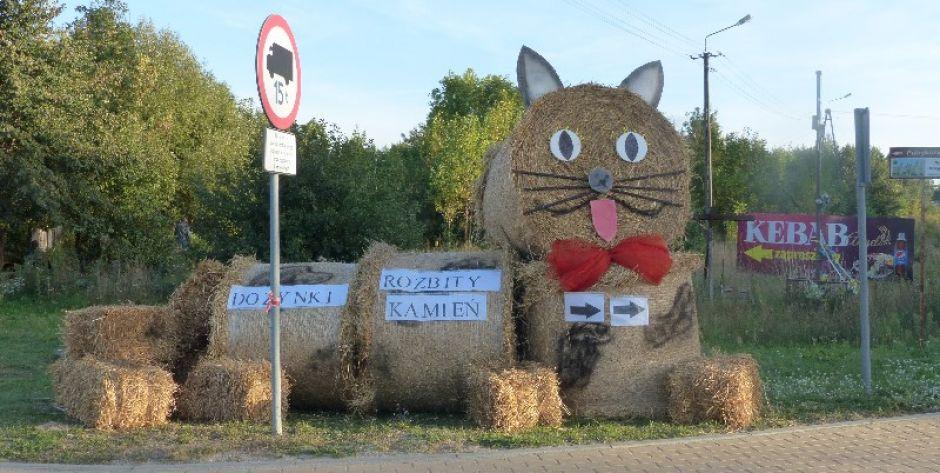 Kot zaprasza na dożynki, fot. Ana