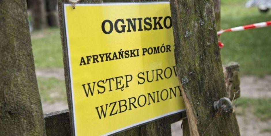fot. Aga Król