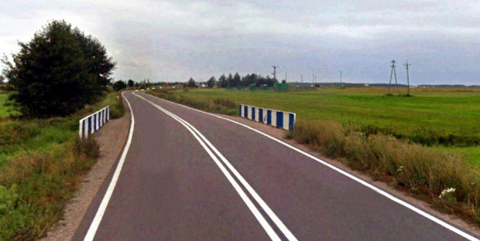 Tuż przed tym mostem na szosę miały nagle wyskoczyć sarny. Fot. Google Earth - fot. Google Earth