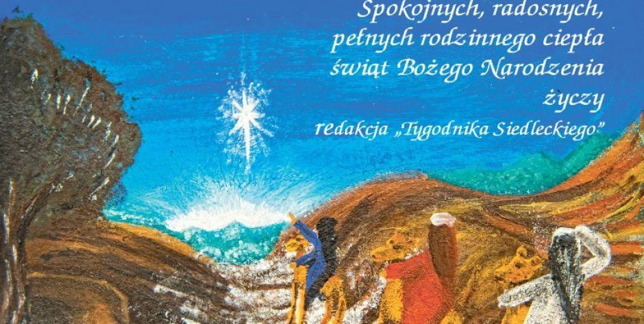 Praca Emilii Witkowskiej z SP nr 7 w Siedlcach nagrodzona w konkursie, zorganizowanym przez Miejski Ośrodek Kultury w Siedlcach - fot. d