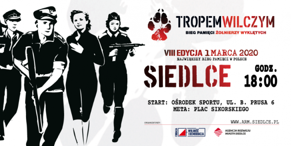 Plakat - fot. d