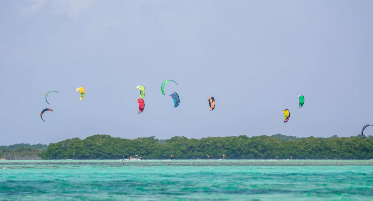 Promocja, czytać prognozy wiatru przed sesją kitesurfingową - zdjęcie, fotografia