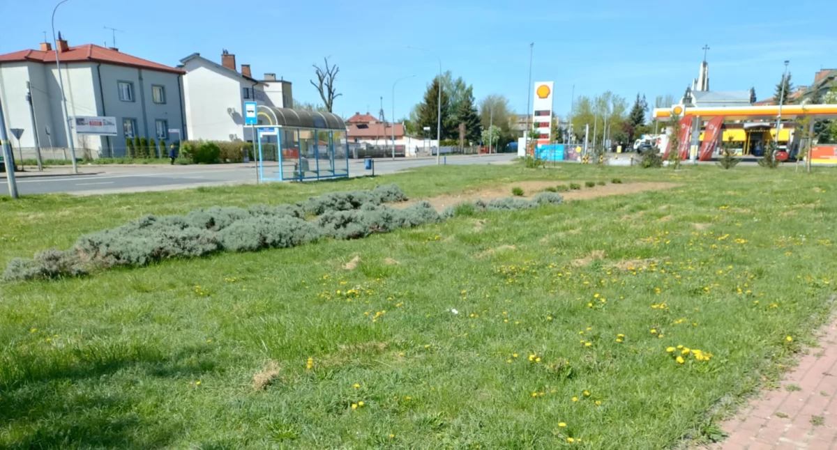 Jeden z parków kieszonkowych powstanie przy ul. Brzeskiej. Fot. KO
