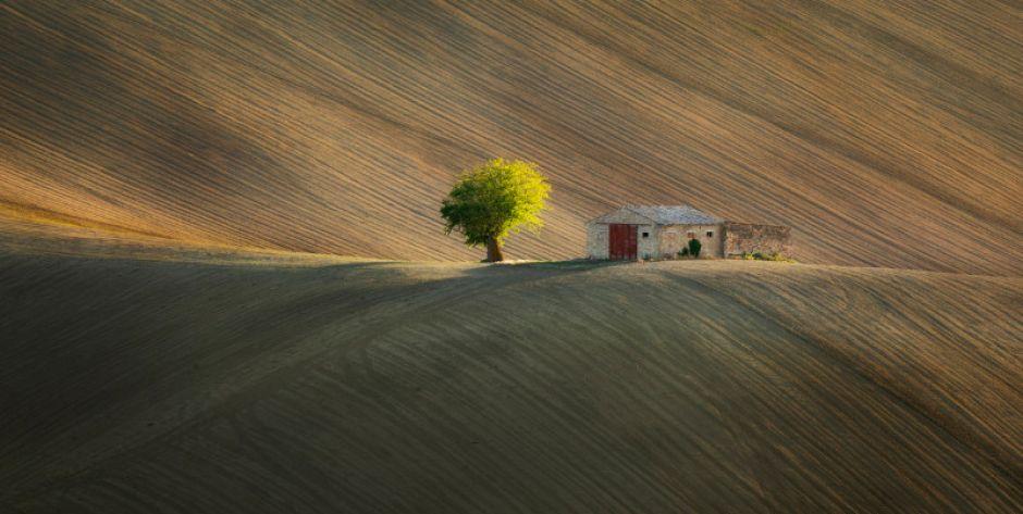 fot. Barbara Biarda - fot. yh