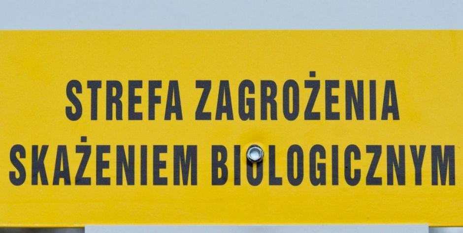 fot. Aga Król