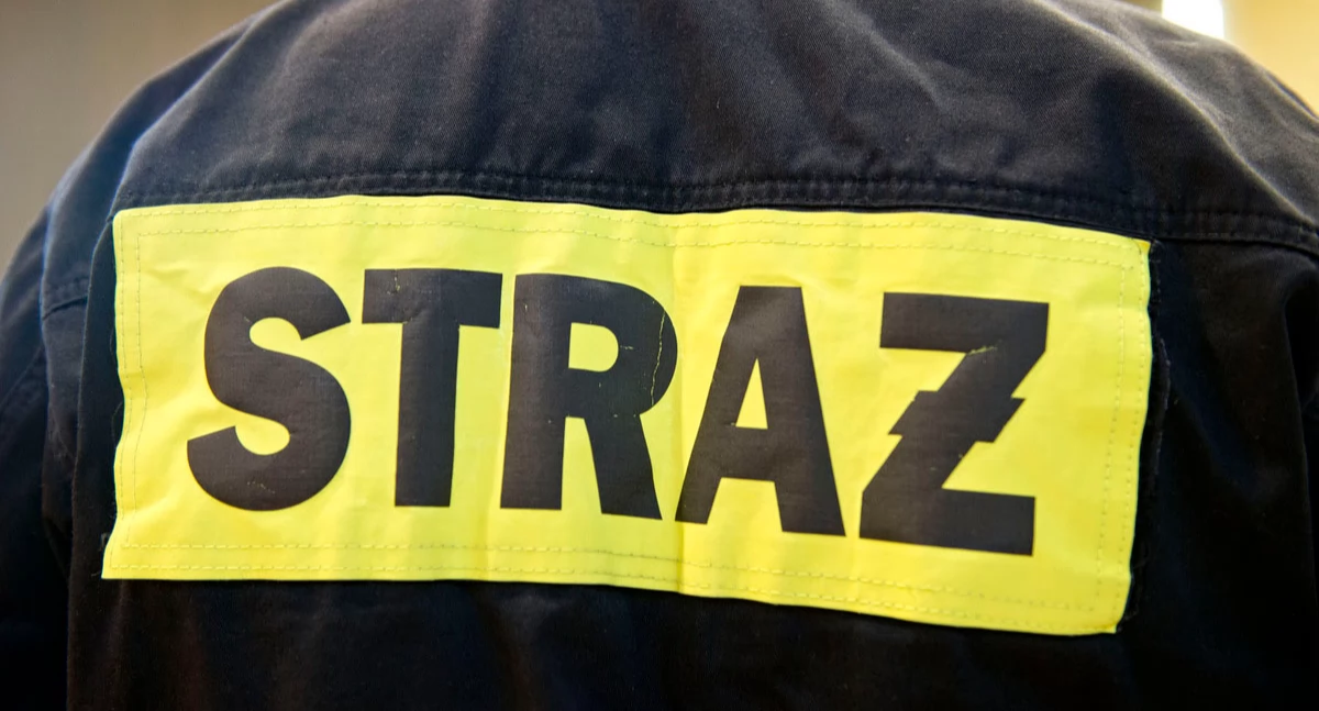 Kronika zdarzeń Komendy Powiatowej PSP w Garwolinie (28 kwietnia-4 maja 2025) - fot. Aga Król