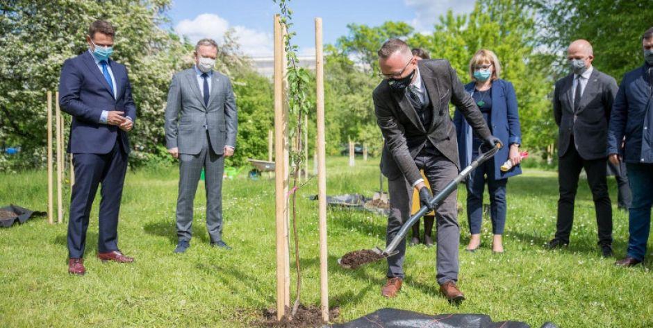 Burmistrz Jakubowski sadzi jabłonie, Obok Prezydent Warszawy Rafał Trzaskowski - fot. R.Motyl