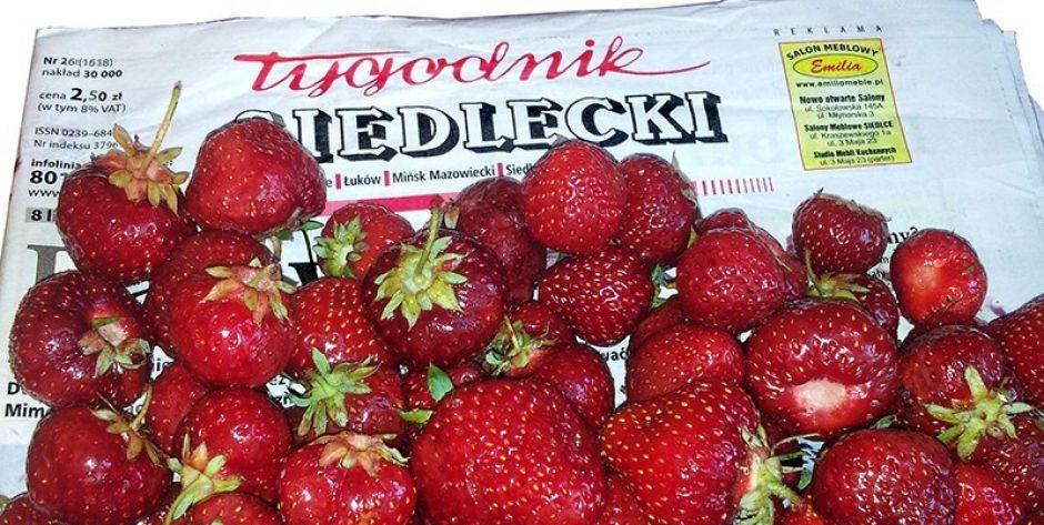 truskawki