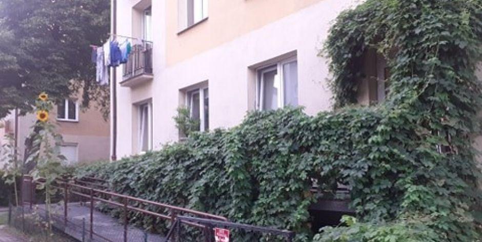 Najbardziej zielony podjazd w mieście, fot. arch. prywatne - fot. Pan Dariusz