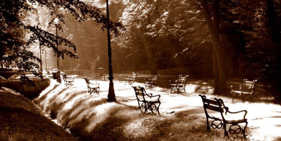 Park Aleksandria - fot. Aga Król