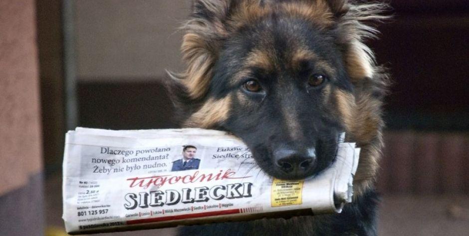 Zapowiedź wydania TS