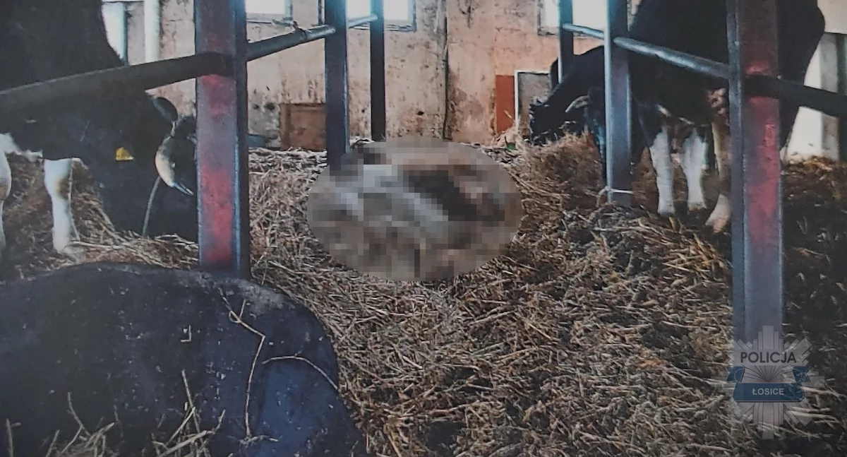 fot. KPP Łosice