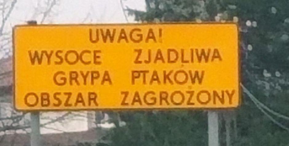 Tablica informacyjna, fot. Ana