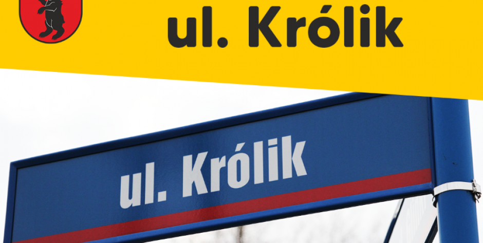 Plakat - fot. sd