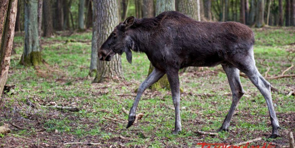 zdjęcie poglądowe - fot. Aga Król