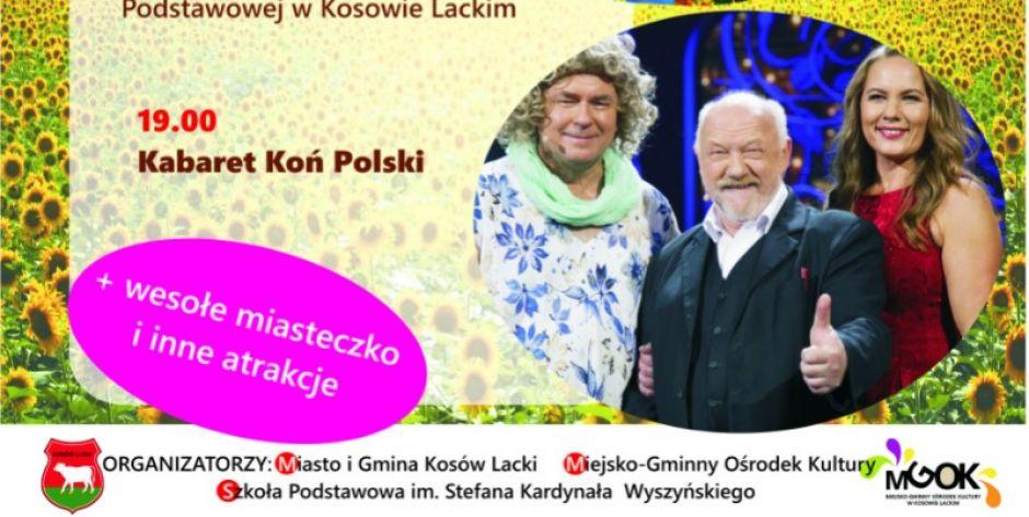 plakat - fot. sd