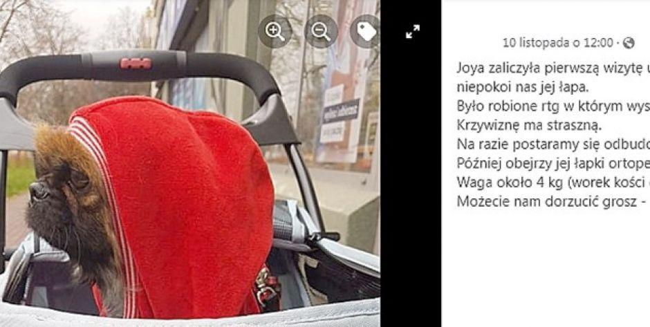 Zrzut ekranu z profilu fundacji, w której prowadzona jest zbiórka - fot. hg