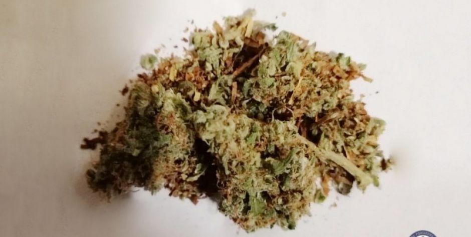Marihuana fot. KPP w Mińsku Mazowieckim - fot. sd