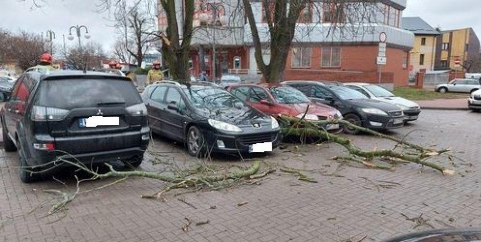 Silny wiatr połamał gałęzie, które spadły na zaparkowane samochody. (fot. Internauta) - fot. Internuata