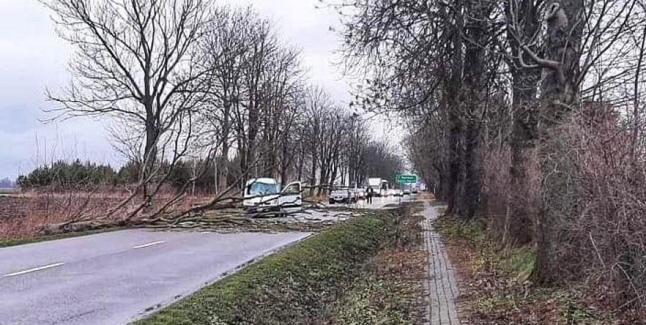 Zdjęcie od Czytelnika