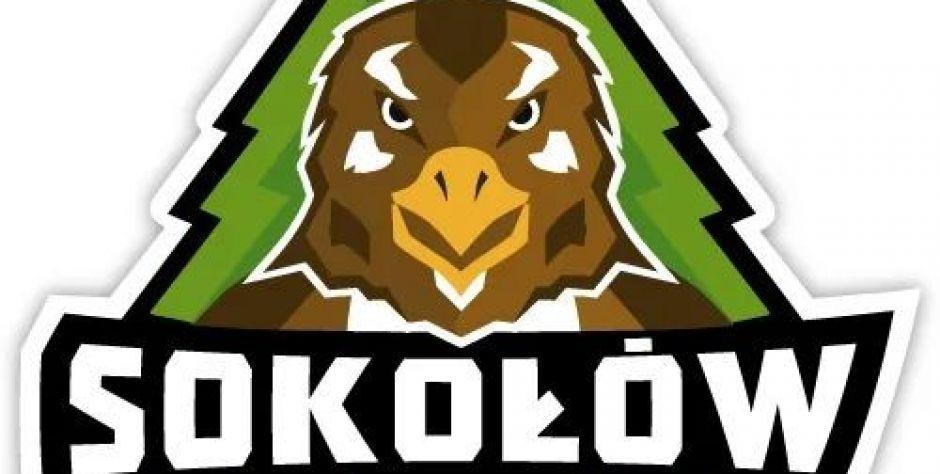 Logo - fot. Hs