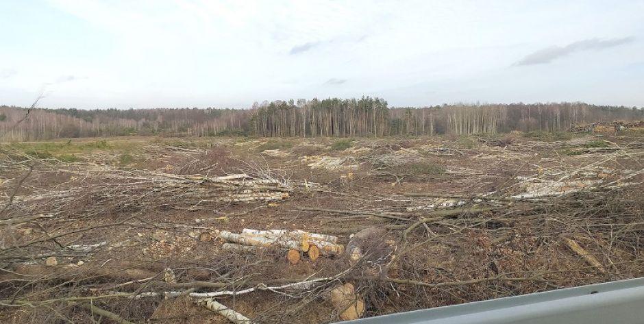 Ruszyła budowa pierwszego z trzech odcinków autostrady między Kałuszynem a Siedlcami. (fot. MS)