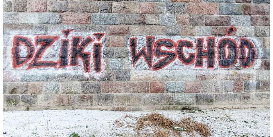 Graffiti, umieszczone pod mostem kolejowym we Fronołowie  fot. Aga Król