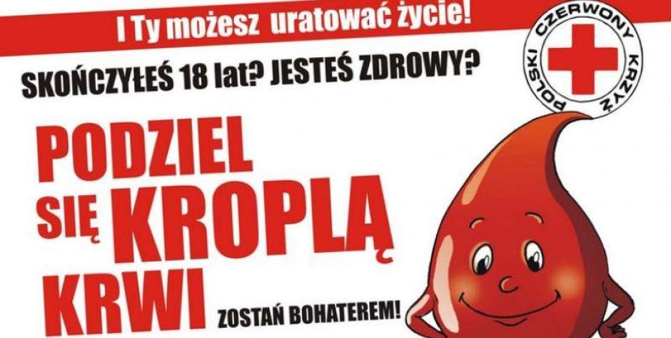 Plakat. Fot.: PCK - fot. PCK