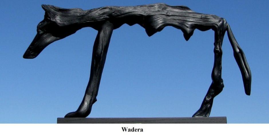 Wadera  - fot. sd