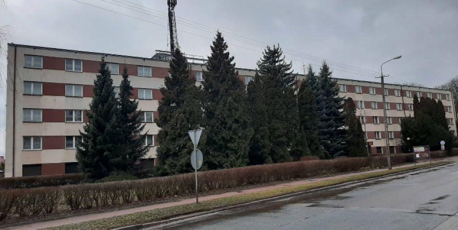 Akademik