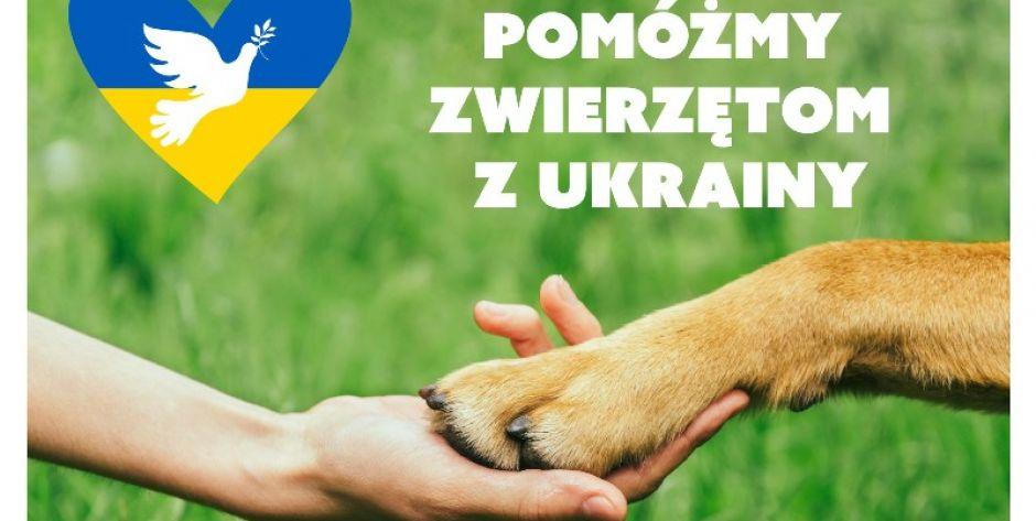 Zbiórka na dla zwierząt z Ukrainy! Przyłącz się! (fot. FB Spółka ZOO Shop)  - fot. FB Spółka ZOO Shop